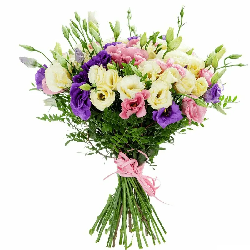 Эустомы светлый микс